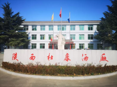 ������ǧ��������ʥ���ſ����M�A������ʷ